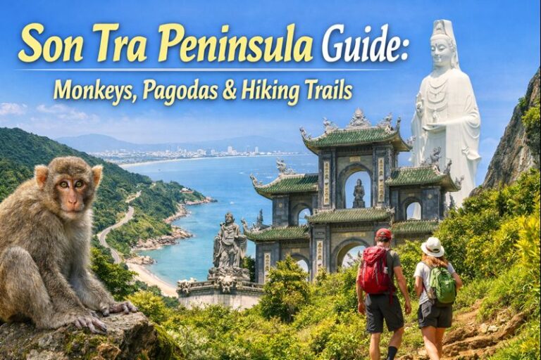Son Tra Peninsula – Monkeys, Pagodas, Hiking Trails & Regulations (Complete Travel Guide)